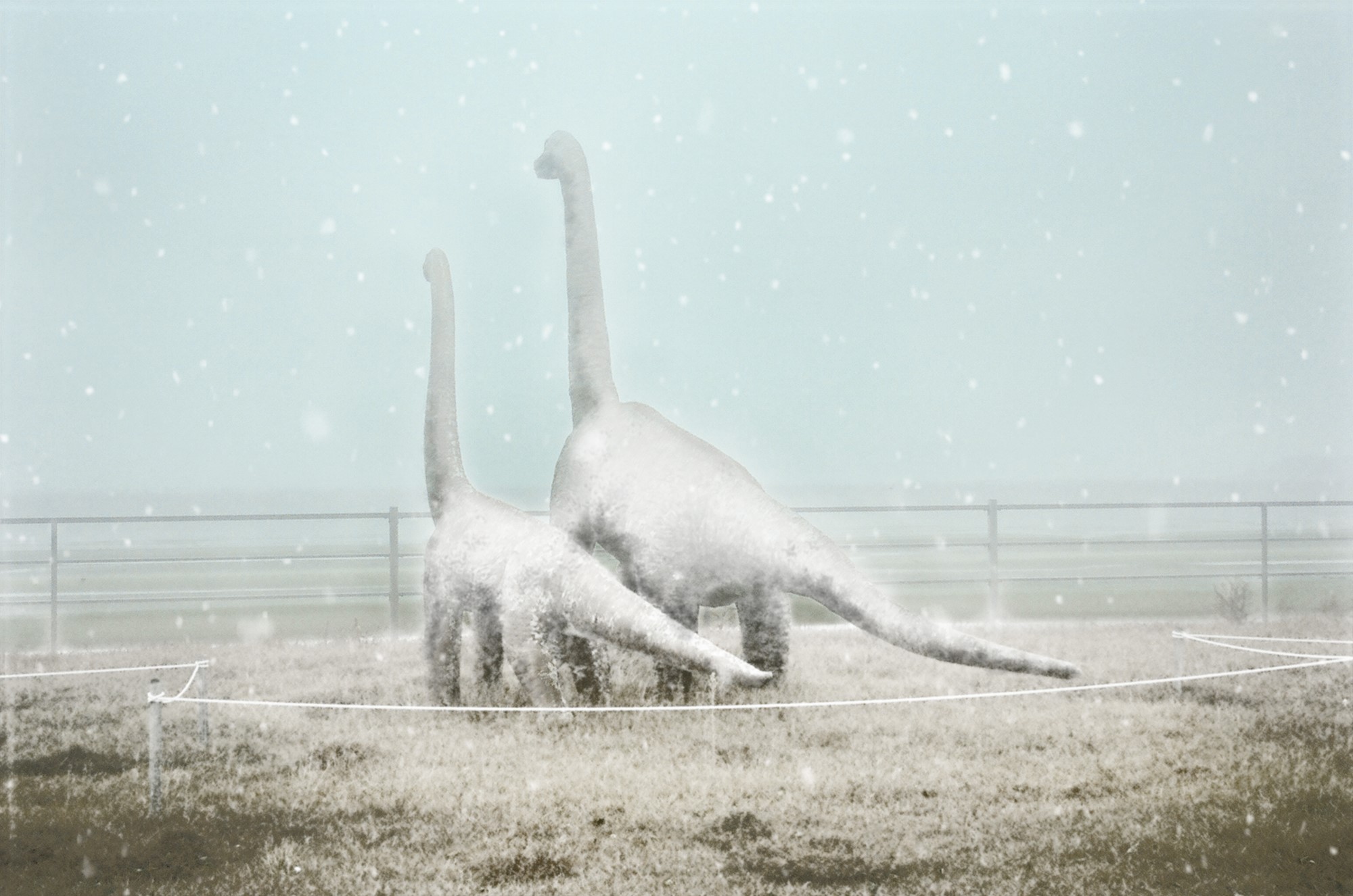 Sad Snow