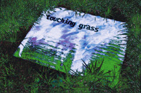 Touching Grass
